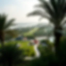 A panoramic view of Bateen Park showcasing lush greenery and recreational spaces